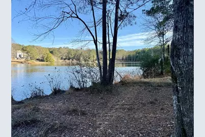 37 Farmstead Way, Senoia, GA 30276 - Photo 3