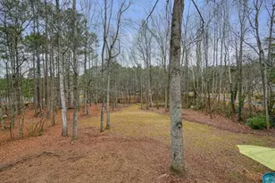 402 W Leslie Ct, Woodstock, GA 30188 - Photo 55