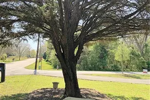 206 N Johnson St, Newborn, GA 30056 - Photo 53