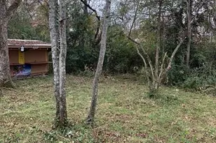 114 E Adams St, Sparta, GA 31087 - Photo 17