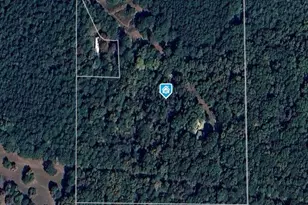 536 Wimberly Hill Rd, Cedartown, GA 30125 - Photo 59