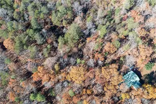 536 Wimberly Hill Rd, Cedartown, GA 30125 - Photo 53