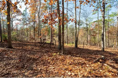 536 Wimberly Hill Road, Cedartown, GA 30125 - Photo 35