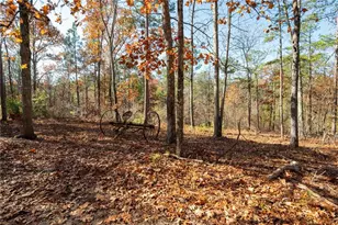 536 Wimberly Hill Rd, Cedartown, GA 30125 - Photo 35