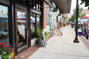 225 Midnight Oak Run, Alpharetta, GA 30009 - Photo 59