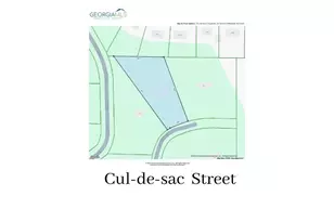 170 Lakeview Ln, Fayetteville, GA 30214 - Photo 73