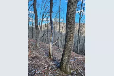 000 Trackrock Gap Road, Blairsville, GA 30514 - Photo 5