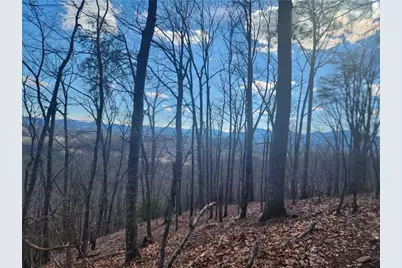 000 Trackrock Gap Road, Blairsville, GA 30514 - Photo 3