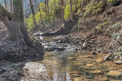 246 Woodward Way, Talking Rock, GA 30175 - Photo 37