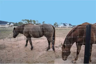 3221 Hollonville Road, Williamson, GA 30292 - Photo 43