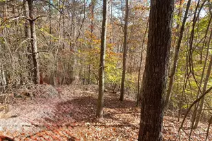 0 Hyalite Rd W, Dahlonega, GA 30533 - Photo 1