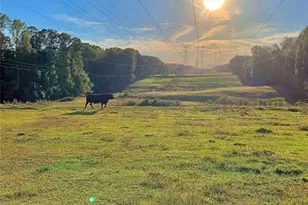 8420 Cleckler Rd, Palmetto, GA 30268 - Photo 47