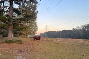 8420 Cleckler Rd, Palmetto, GA 30268 - Photo 51