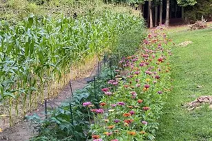 912 Folds Rd, Carrollton, GA 30116 - Photo 51