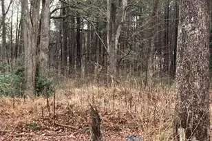 6661 Hwy 42, Rex, GA 30273 - Photo 1