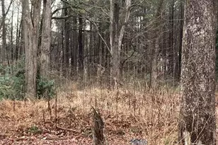 6661 Hwy 42, Rex, GA 30273 - Photo 1