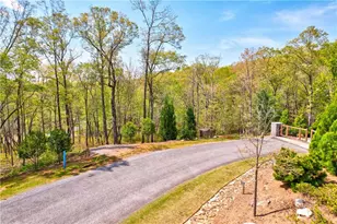 Lot #1 Jakes Landing Way N, Ellijay, GA 30540 - Photo 1