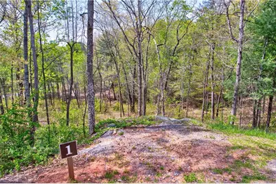 Lot #1 Jakes Landing Way N, Ellijay, GA 30540 - Photo 7