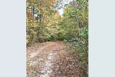 0 Fruit Farm Road, Summerville, GA 30747 - Photo 1