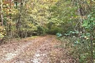 0 Fruit Farm Rd, Summerville, GA 30747 - Photo 1