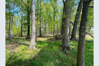 733 Pleasant Union Road, Canton, GA 30114 - Photo 13