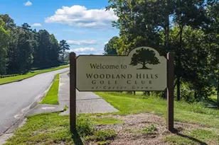 346 Belmont Dr, Cartersville, GA 30120 - Photo 31