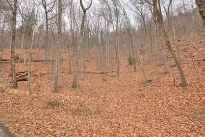 803 Woodland Trace, Big Canoe, GA 30143 - Photo 3