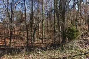 1358 Brown St, Gainesville, GA 30507 - Photo 1