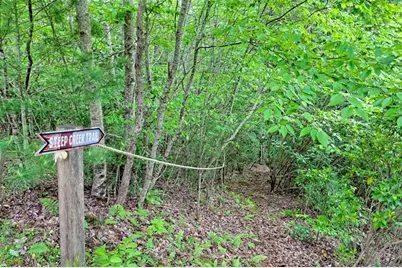 995 Glassy Mtn Road, Hiawassee, GA 30546 - Photo 69