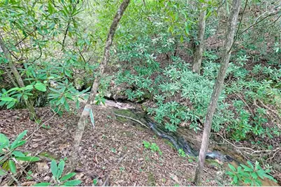 995 Glassy Mtn Road, Hiawassee, GA 30546 - Photo 67