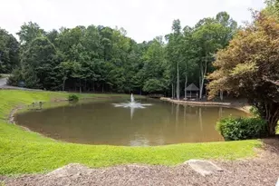 220 Terrace Way, Jasper, GA 30143 - Photo 43