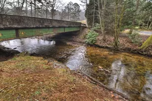 111 Laurel Crossing, Blue Ridge, GA 30513 - Photo 49