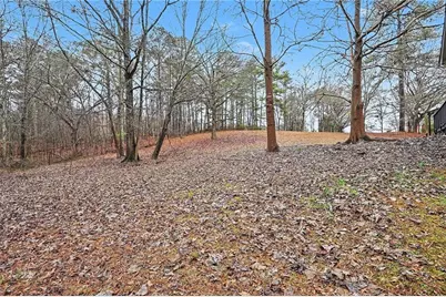 13789 Woolsey Road, Hampton, GA 30228 - Photo 33