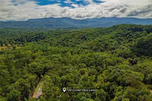 100 Crystal Oliver Ln, Cherrylog, GA 30522 - Photo 33