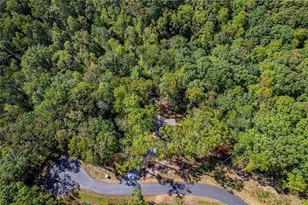 100 Crystal Oliver Ln, Cherrylog, GA 30522 - Photo 31