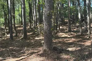 2530 Roper Rd, Cumming, GA 30028 - Photo 5