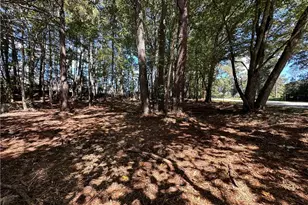 2530 Roper Rd, Cumming, GA 30028 - Photo 7