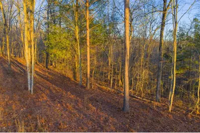 Lot 2 Blalock Mountain Road, Talking Rock, GA 30175 - Photo 9