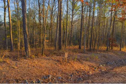 Lot 2 Blalock Mountain Road, Talking Rock, GA 30175 - Photo 7