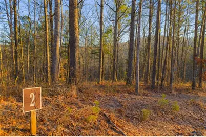 Lot 2 Blalock Mountain Road, Talking Rock, GA 30175 - Photo 13