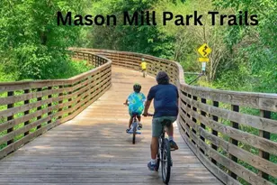 1320 Stanley Pk Dr, Decatur, GA 30033 - Photo 55