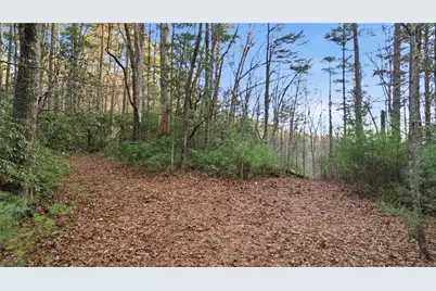 0 Camp Wahsega Road, Dahlonega, GA 30533 - Photo 13