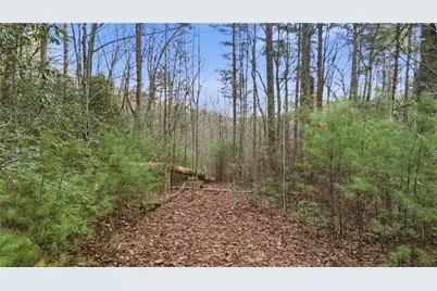 0 Camp Wahsega Road, Dahlonega, GA 30533 - Photo 15
