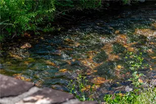 868 Old Owen Dr, Blairsville, GA 30512 - Photo 73