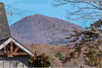 868 Old Owen Drive, Blairsville, GA 30512 - Photo 27