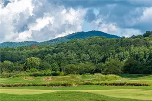 868 Old Owen Dr, Blairsville, GA 30512 - Photo 75