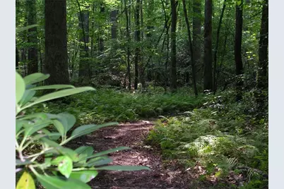 120 Waterview Court, Waleska, GA 30183 - Photo 37