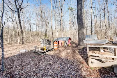 427 Saddle Club Road, Summerville, GA 30747 - Photo 3