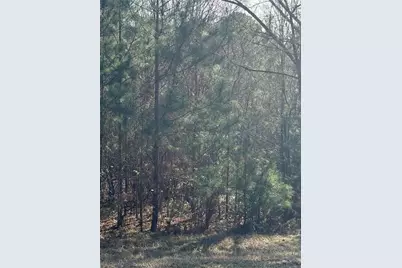 13905 Brown Bridge Road, Covington, GA 30016 - Photo 3