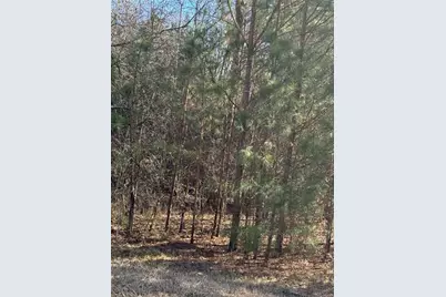 13905 Brown Bridge Road, Covington, GA 30016 - Photo 1